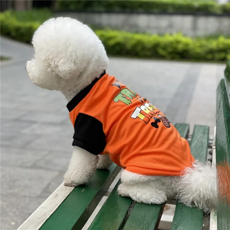 Halloween Dog Clothes for Small Dogs