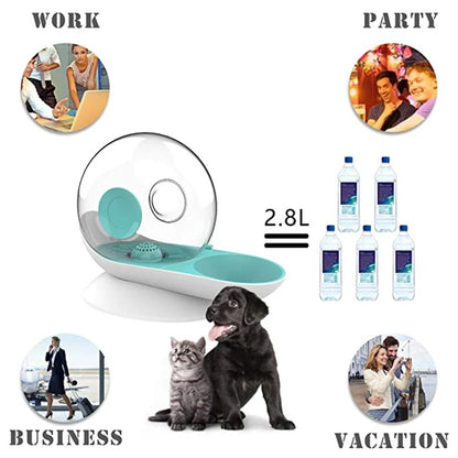 2.8L Cat Puppy Water Fountain Snails Automatic Drinker For Cats Pets Water Dispenser Filter Large Drinking Bowl Cat Accessories