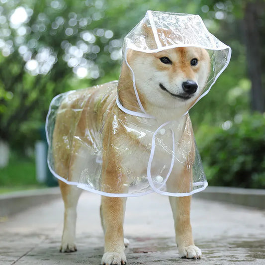 Transparent Pet Hooded Raincoat
