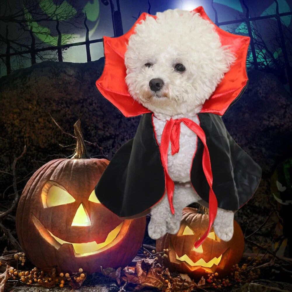 Dog Halloween Vampire Cloak